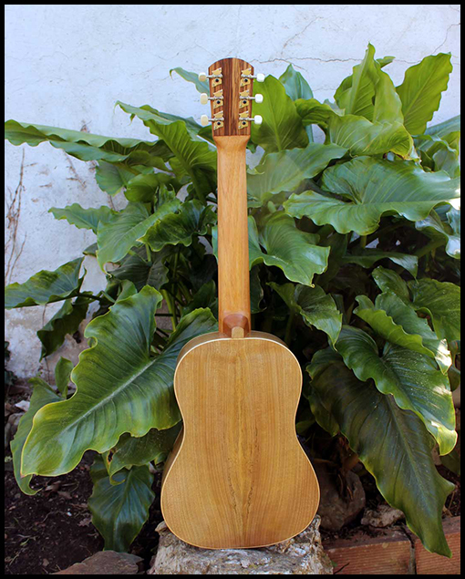 Fondo Guitarra de viaje modelo estándar artesanal de Matías Costa Luthier 